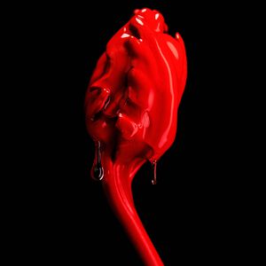 Rose of no mans land Absolu de Parfum
