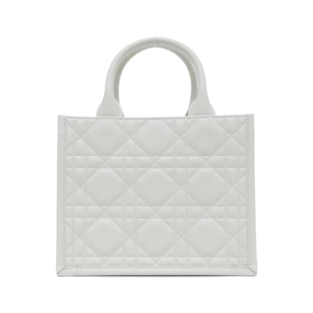 Dior Book Tote