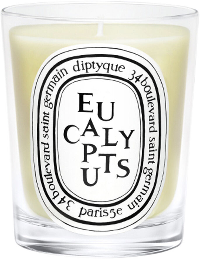 Standard candle Eucalyptus