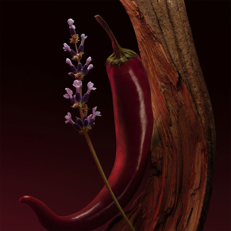 The Scent Elixir Parfum Intense