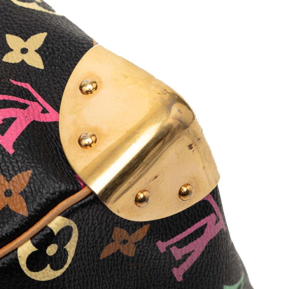 Louis Vuitton Speedy