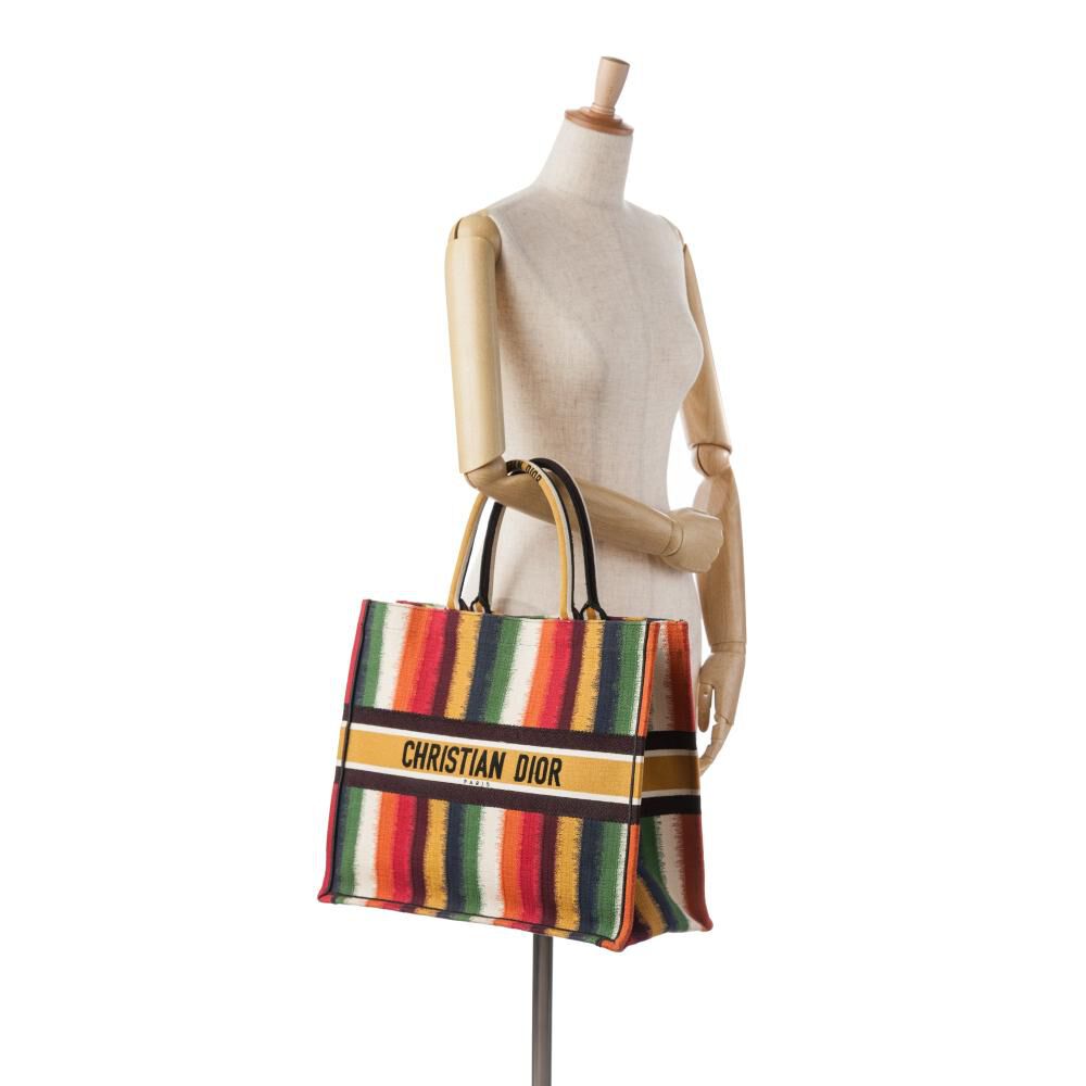 Dior Book Tote