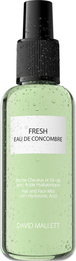 SPRAY FRESH