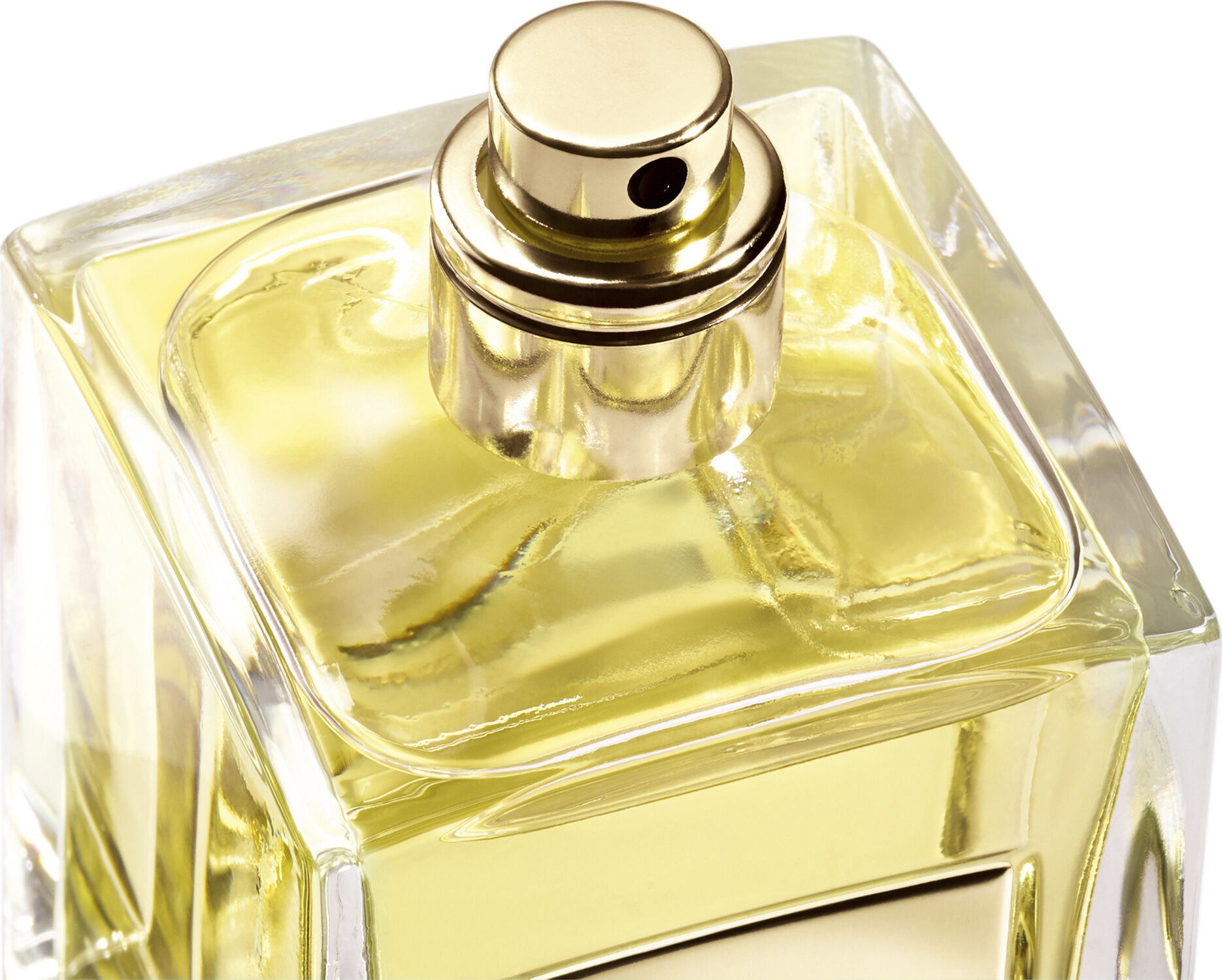 Armani Priv&eacute; Orangerie Venise