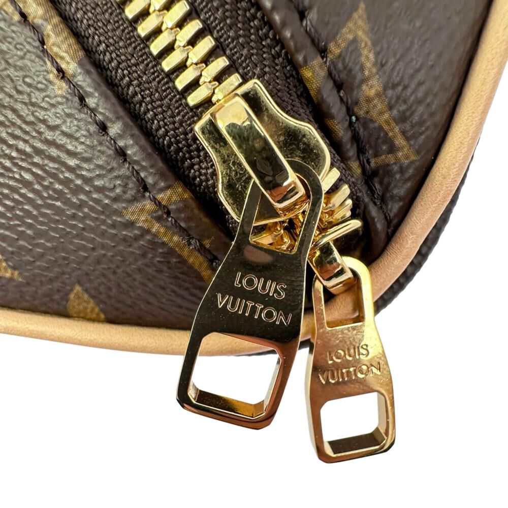 Louis Vuitton Cosmetic Pouch