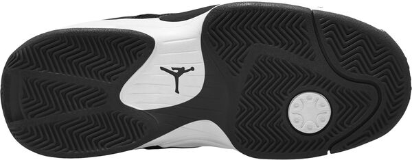 Jordan Max Aura 6 Sneakers