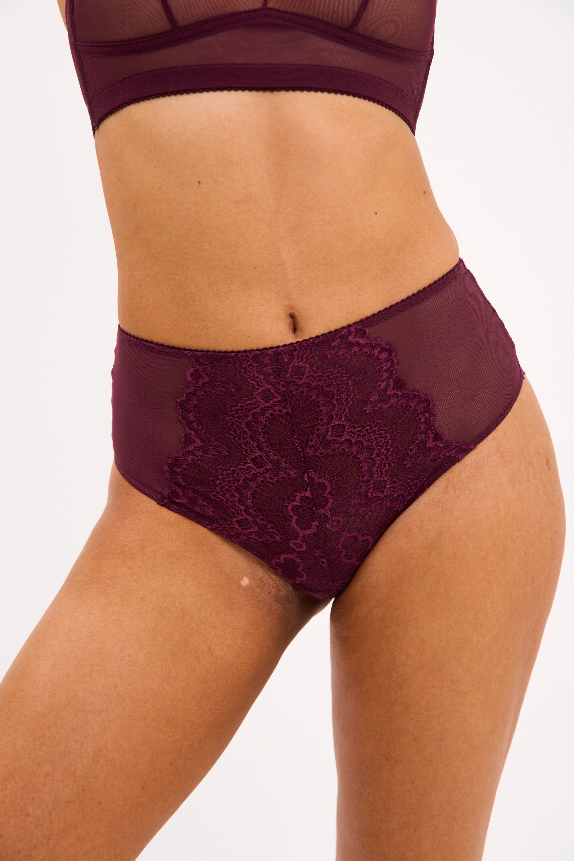 Lace Mesh Highwaist Briefs