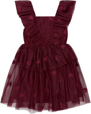 TNVohanna S_L Mesh Dress