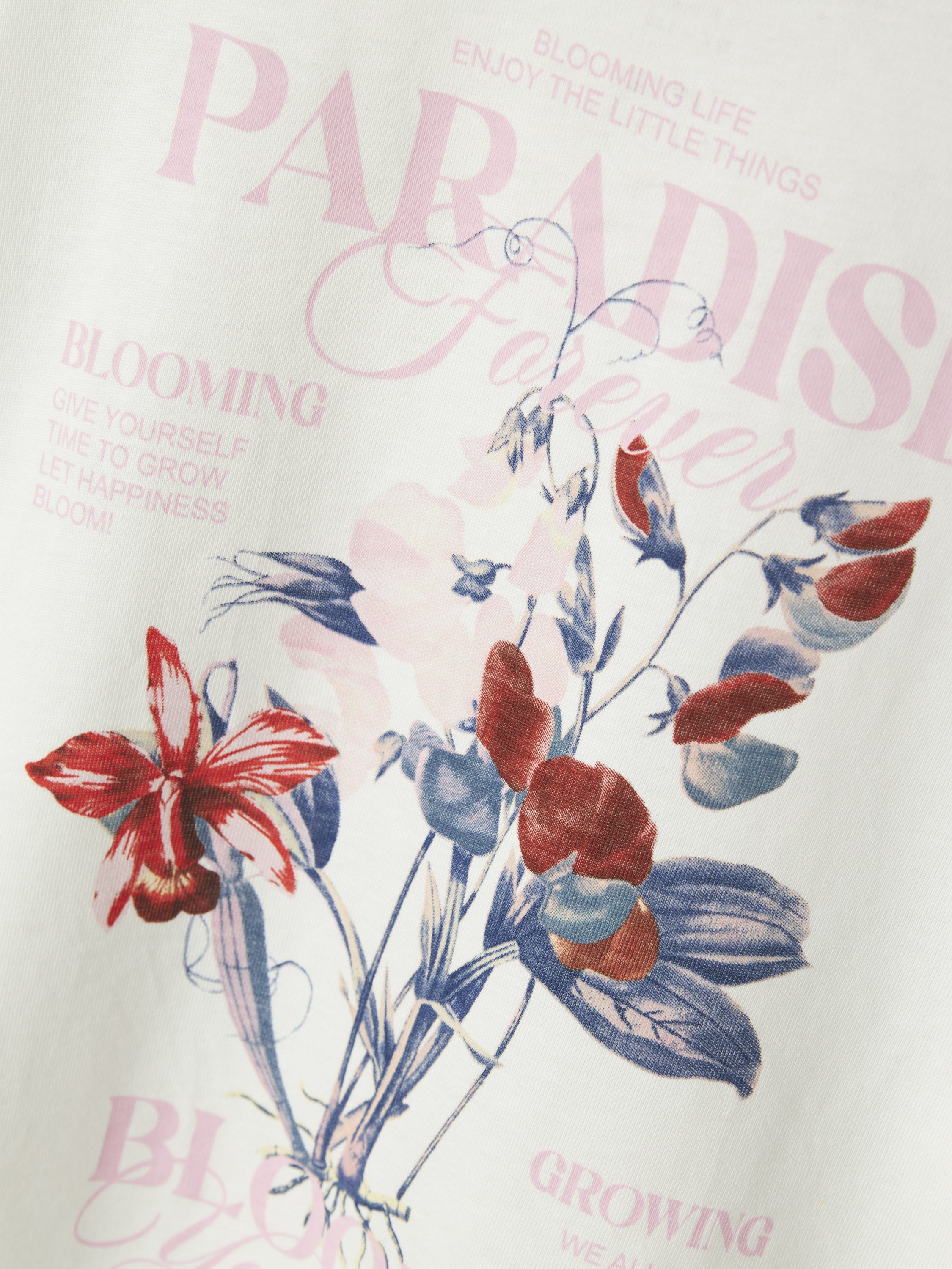 NKFNORLA SS NREG TOP