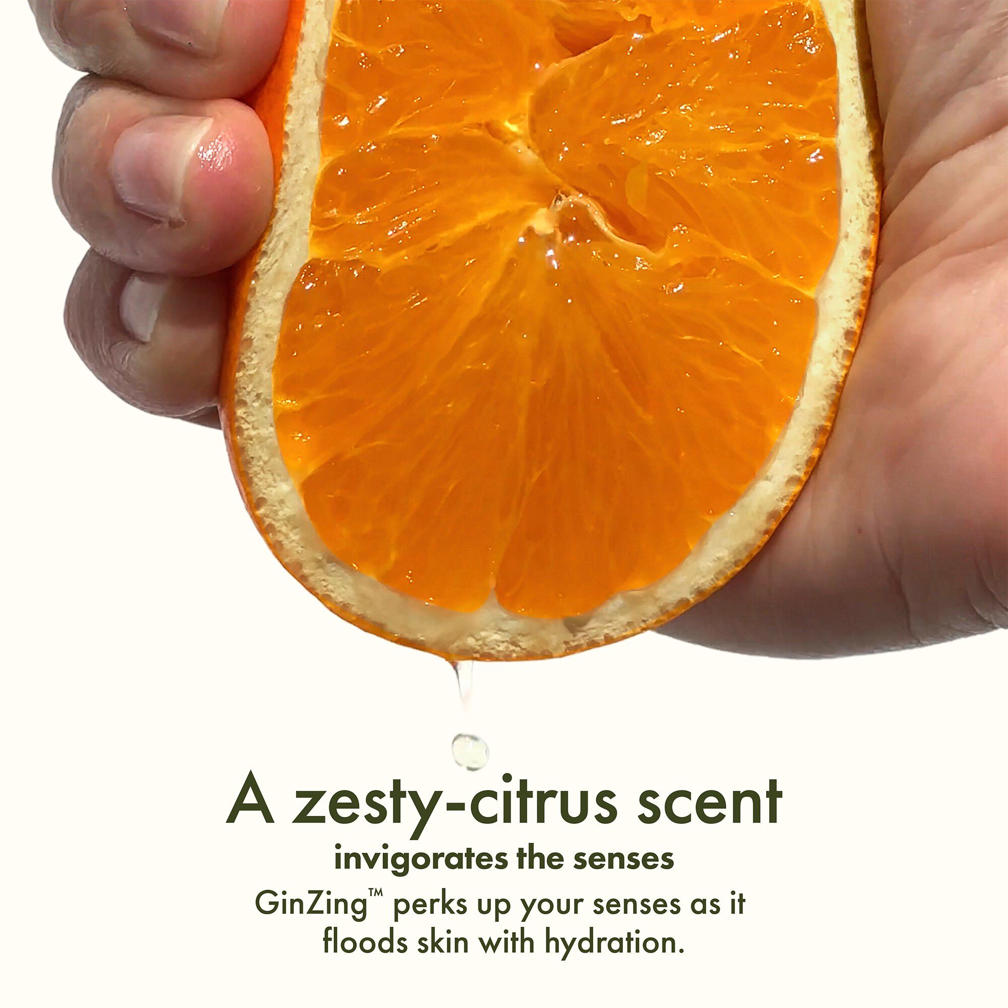 GINZING ENERGIZING LIGHTWEIGHT MOISTURIZER