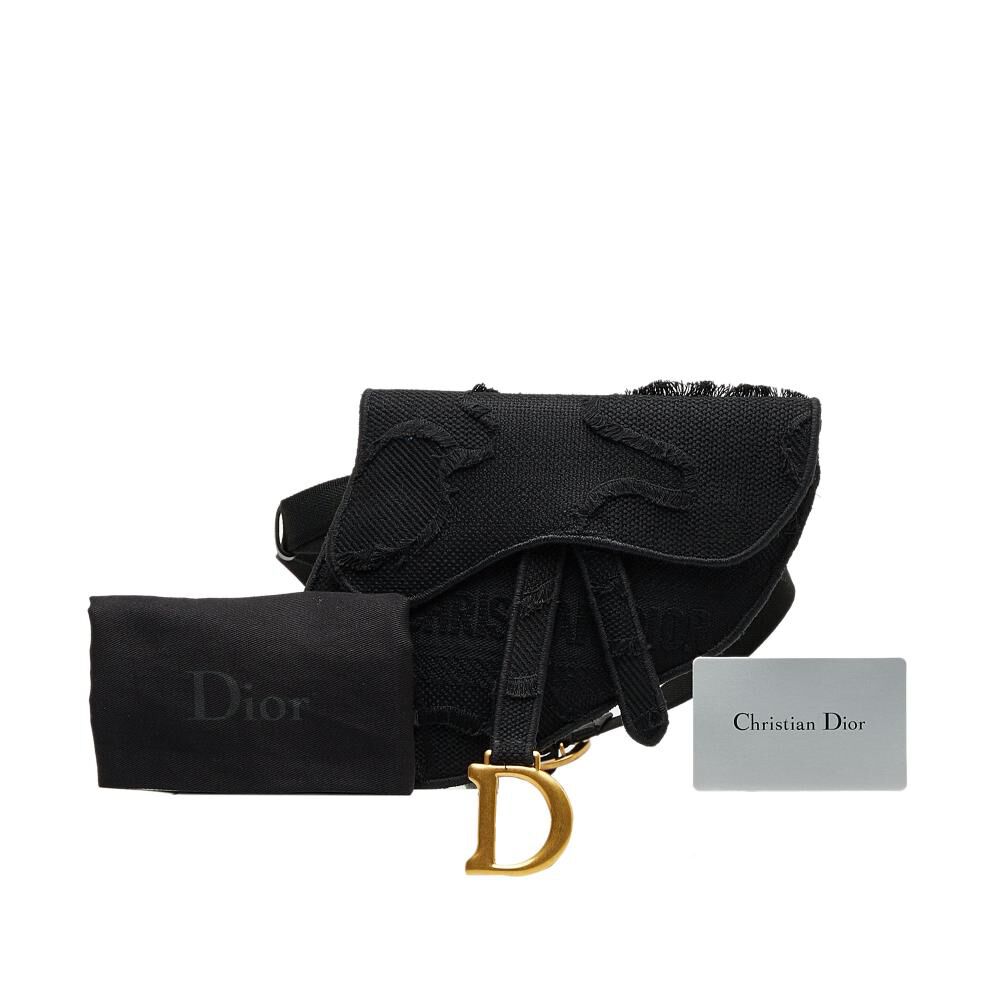 Dior Belt Bag