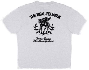 THE REAL PEGASUS VIGORE TEE