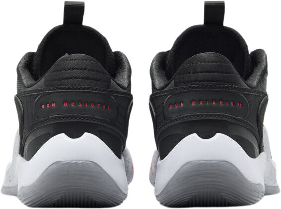 Jordan Luka Doncic 2 basketballsko