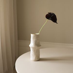 Small Anthurium Flower