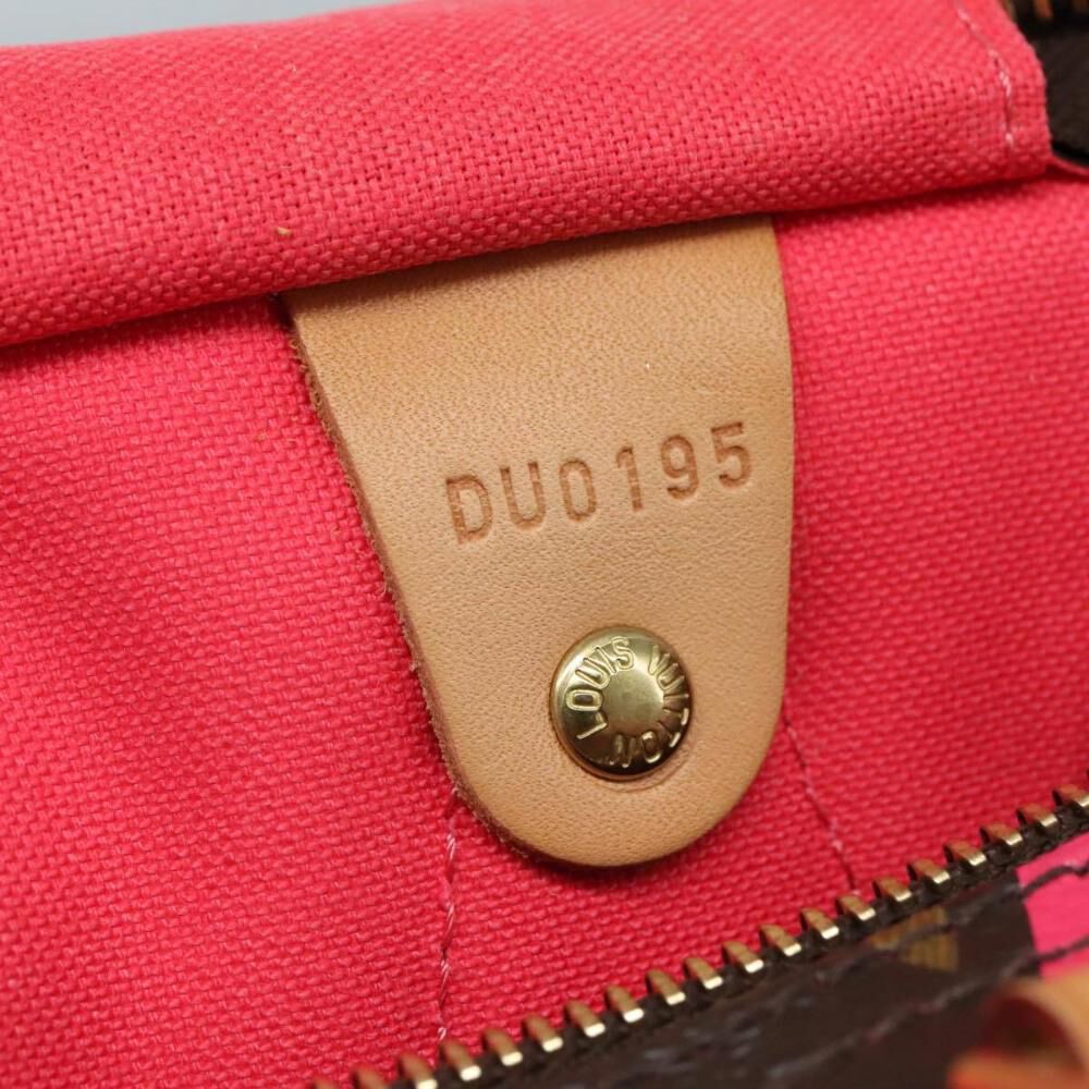 Louis Vuitton Handbag