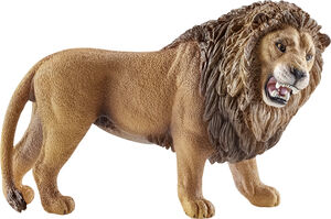 Sch Lion Roaring