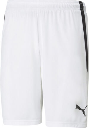 Teamliga shorts
