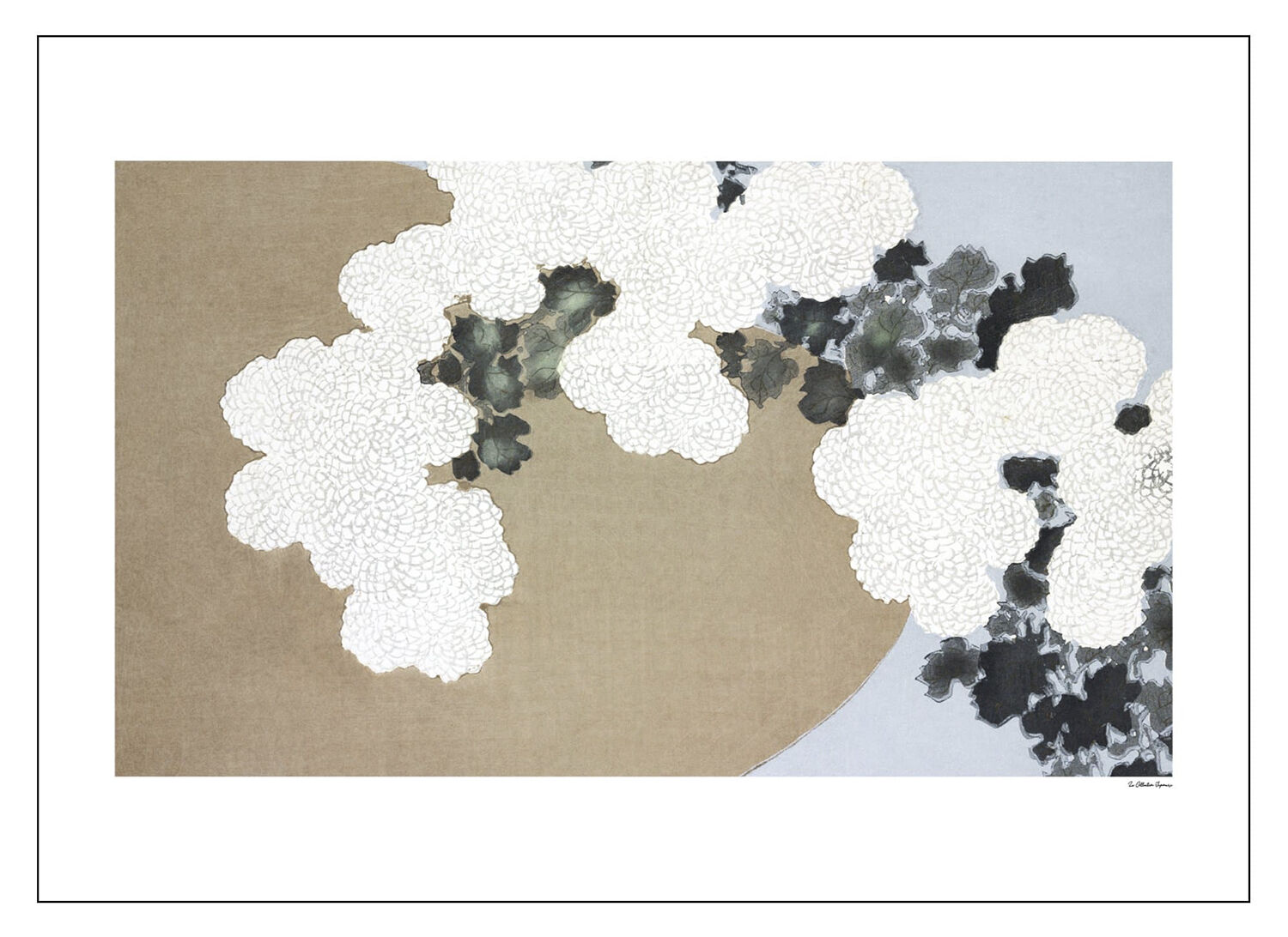 la collection japonaise 05