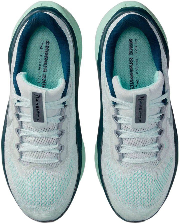 Pegasus 41 L&oslash;besko