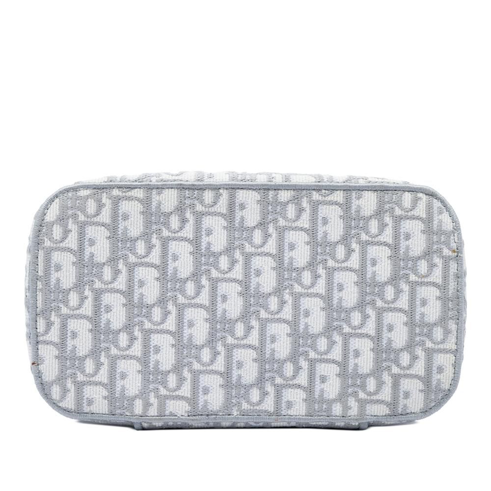 Dior Vanity Bag