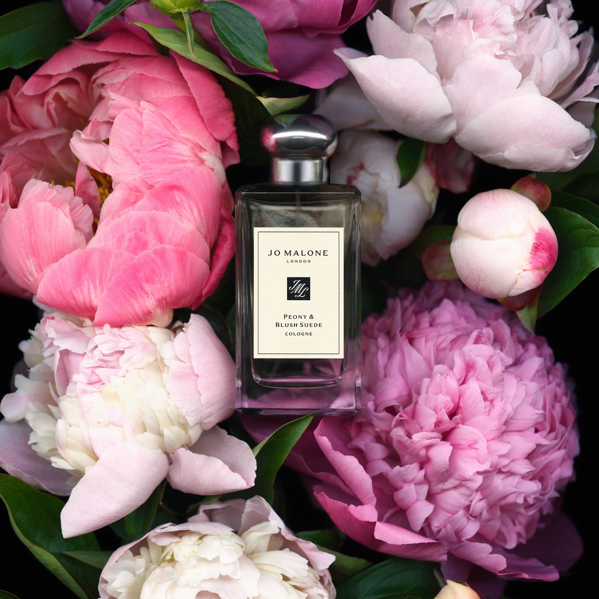 Peony & Blush Suede Cologne
