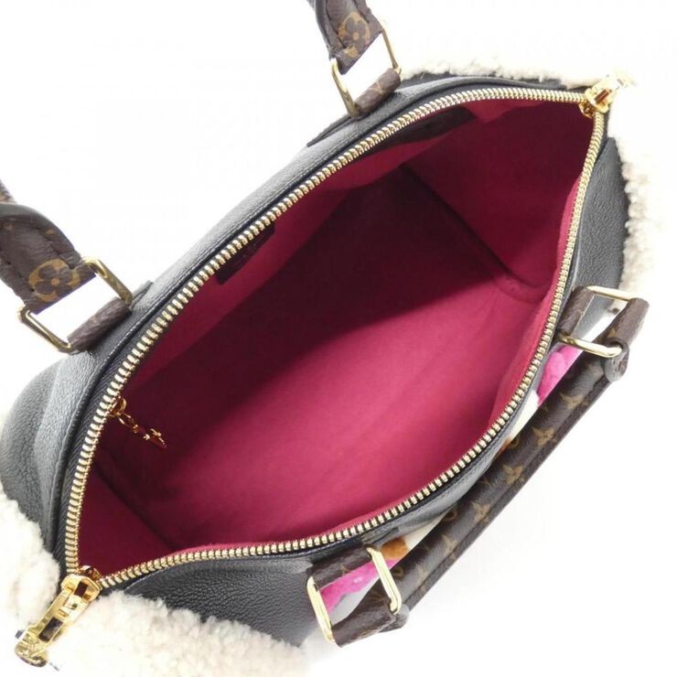 Louis Vuitton Speedy