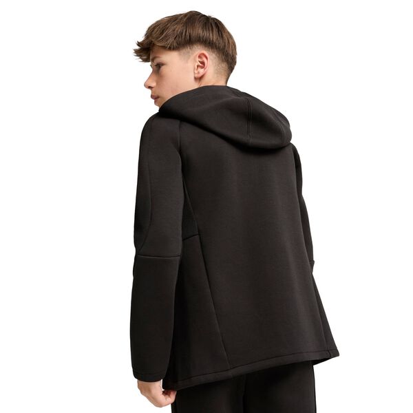 Evostripe FZ Hættetrøje