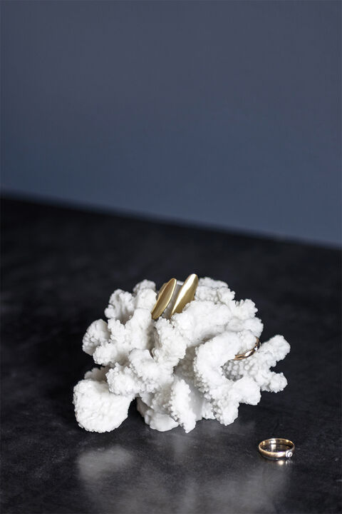 Coral, branches - small