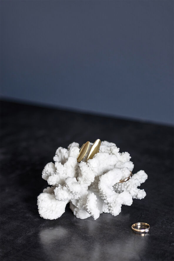 Coral, branches - small