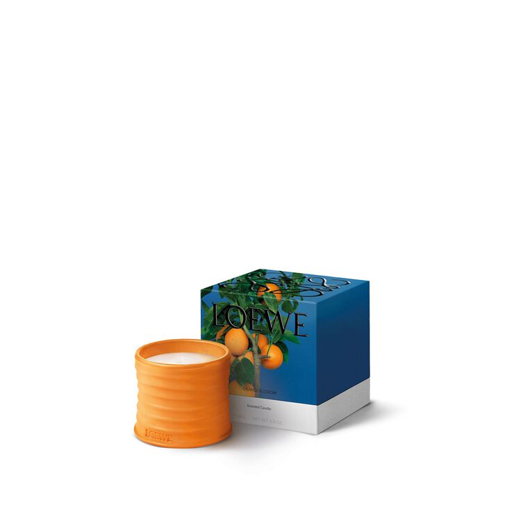 LOEWE Orange Bloss Small Candle