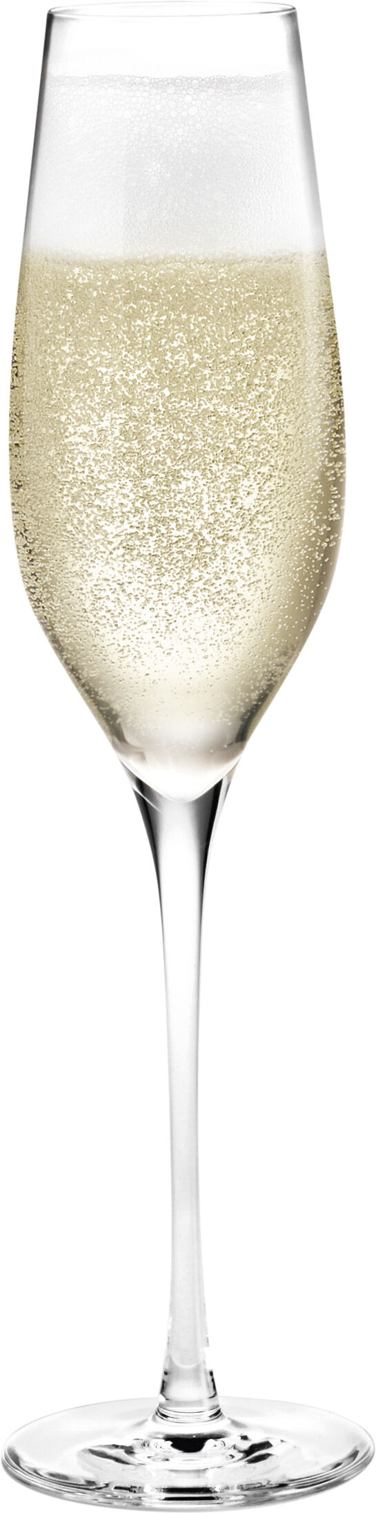 Cabernet champagneglas 29 cl.