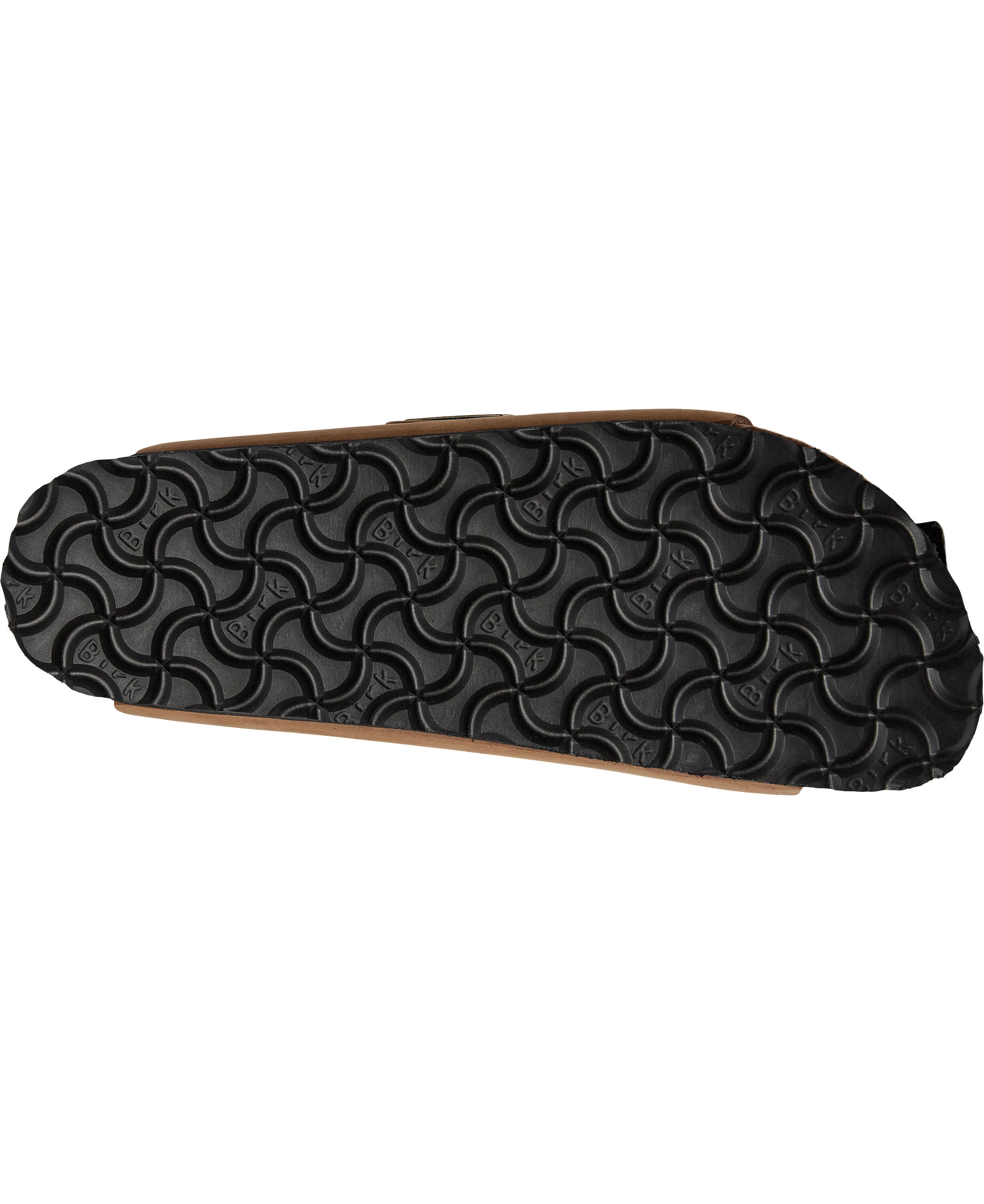 Arizona SFB LENB Mink