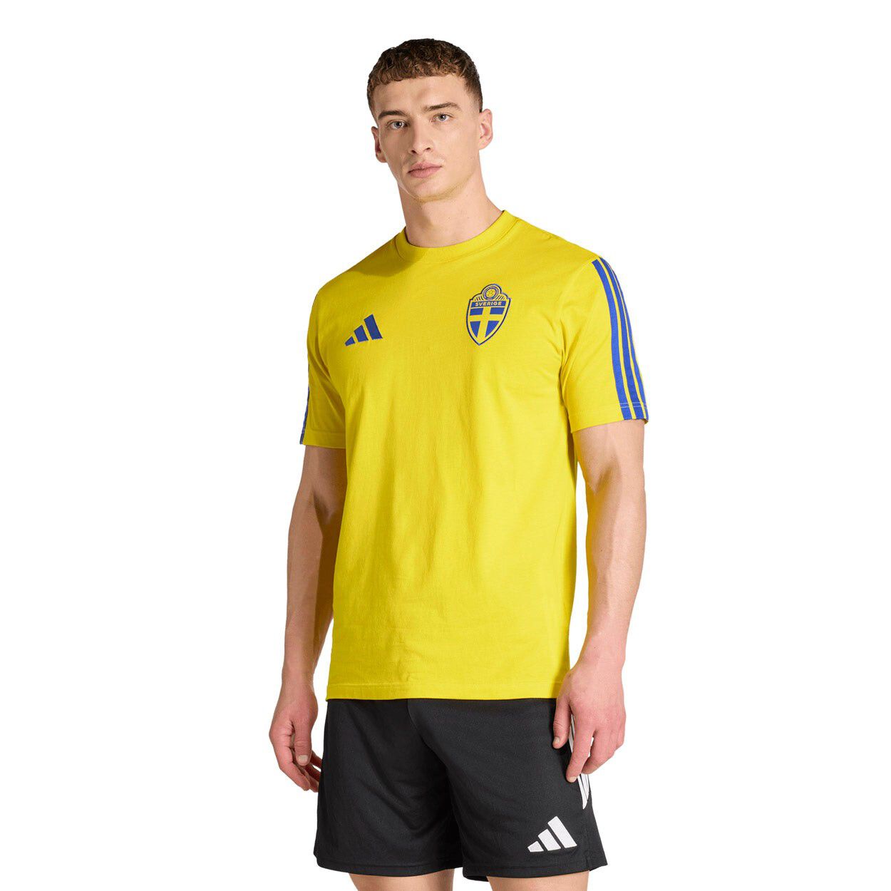 Sverige DNA T-shirt