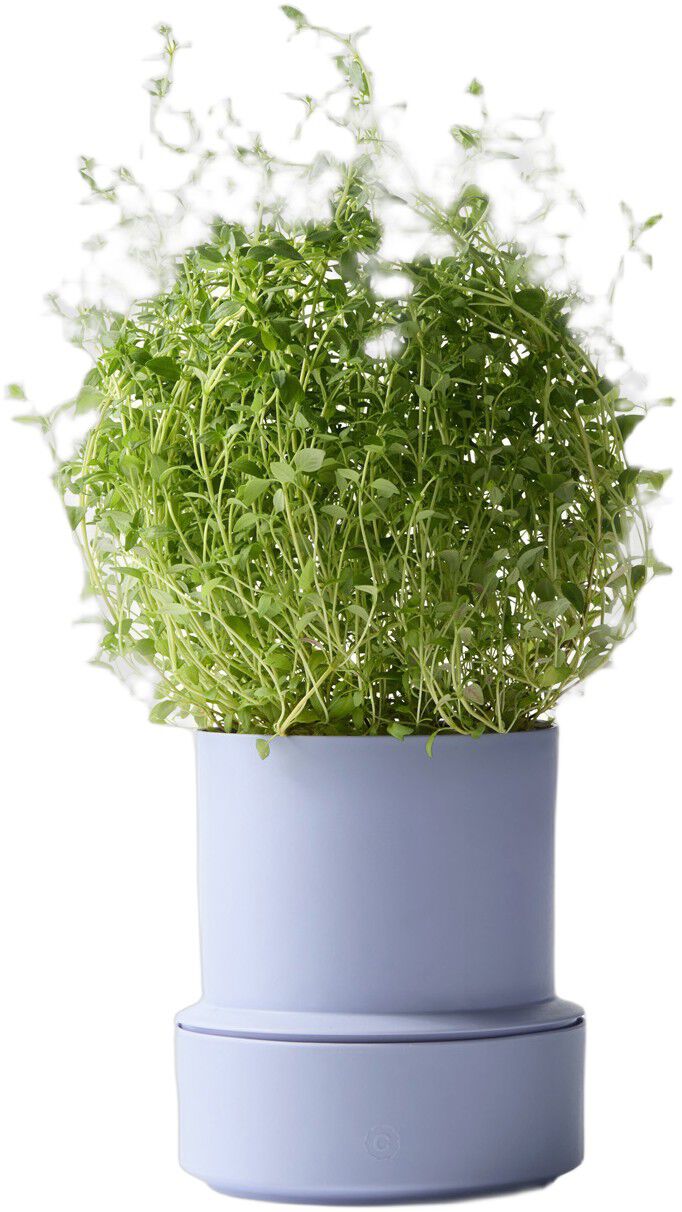 Billund self-watering pot, lavender
