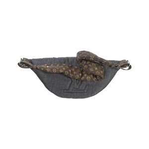 Louis Vuitton Bumbag