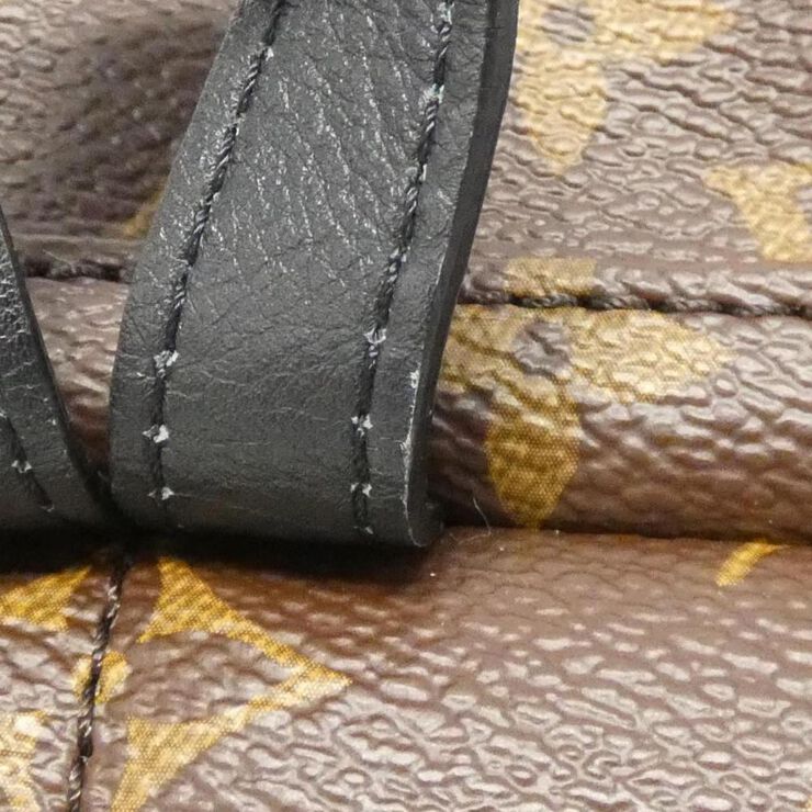 Louis Vuitton Palm Springs