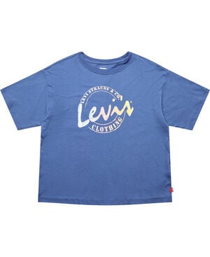 LVGSSMEETANDGREETSCRIPTT