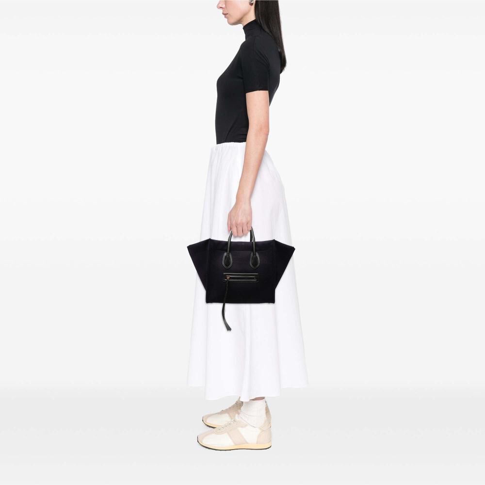 Celine Luggage