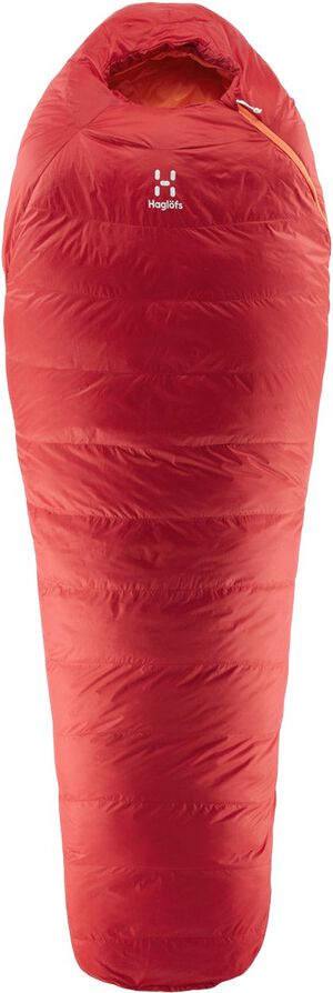 Ursus -9 grader Sovepose