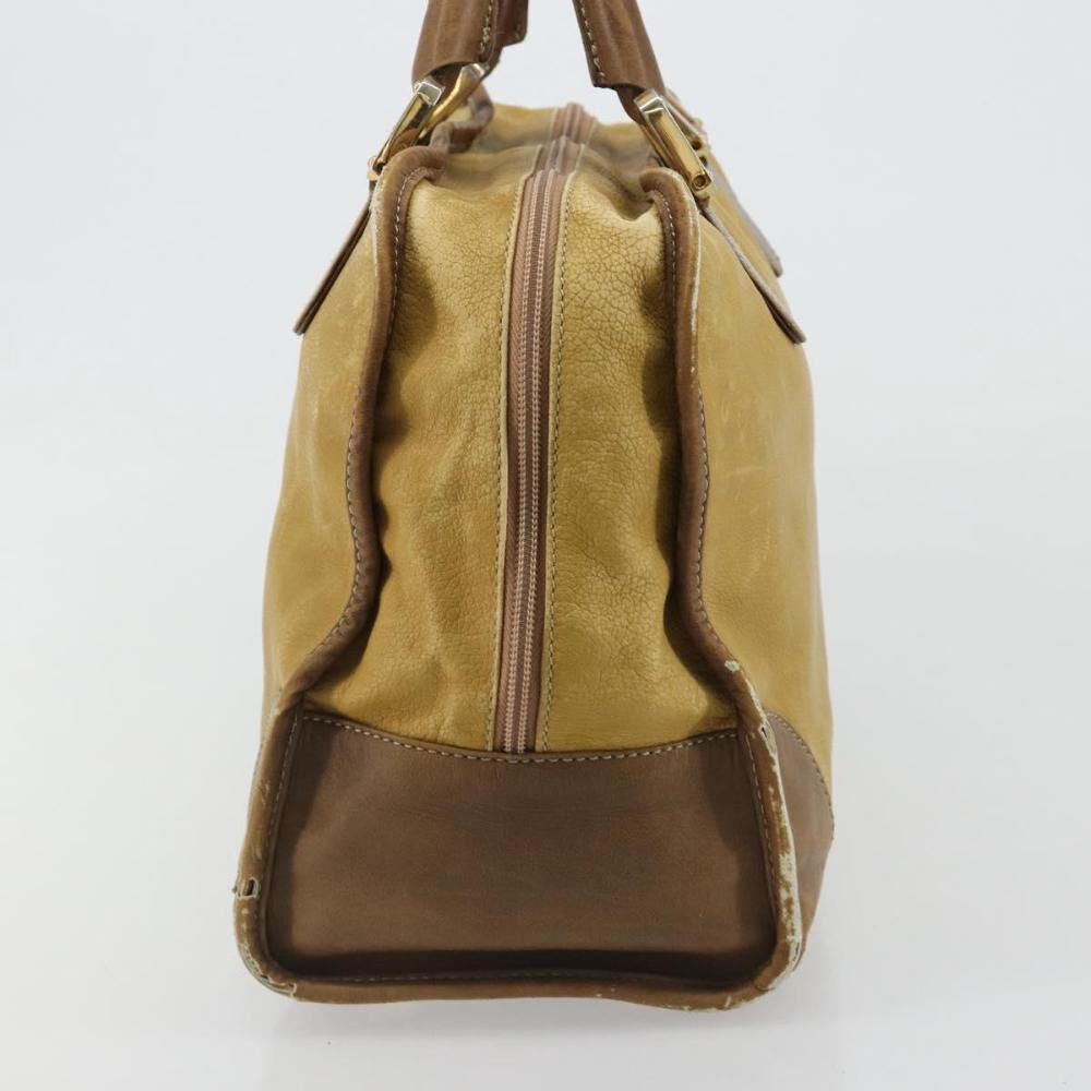 Loewe Amazona