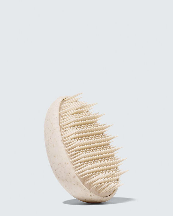 Wet Hair Detangler Brush, White