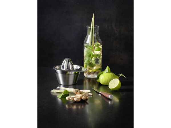 Citruspresser 50 cl 14 x 12,2 cm Stål