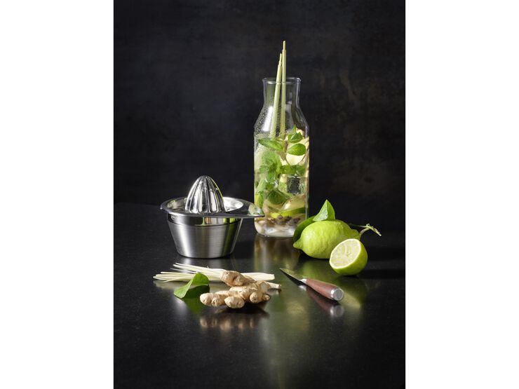 Citruspresser 50 cl 14 x 12,2 cm Stål