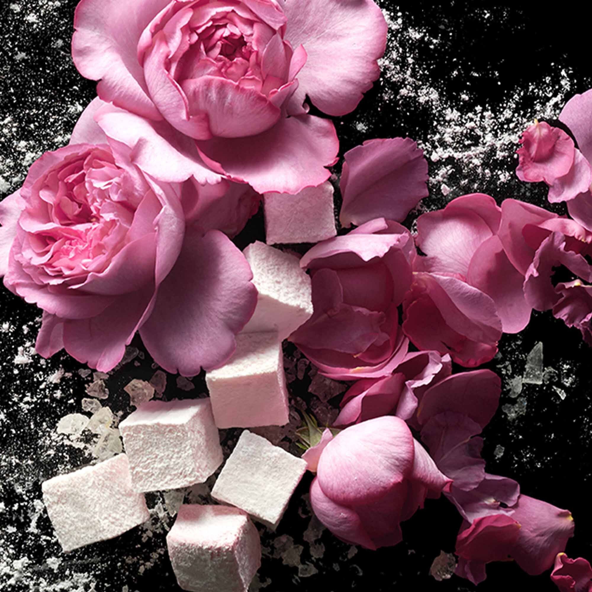 Love, Don't Be Shy Extreme Eau de Parfum Refill