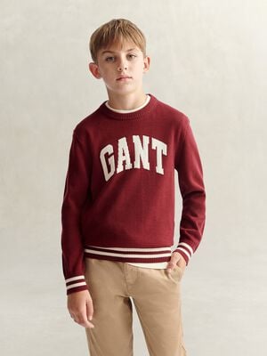 Intarsia Crew Neck Sweater