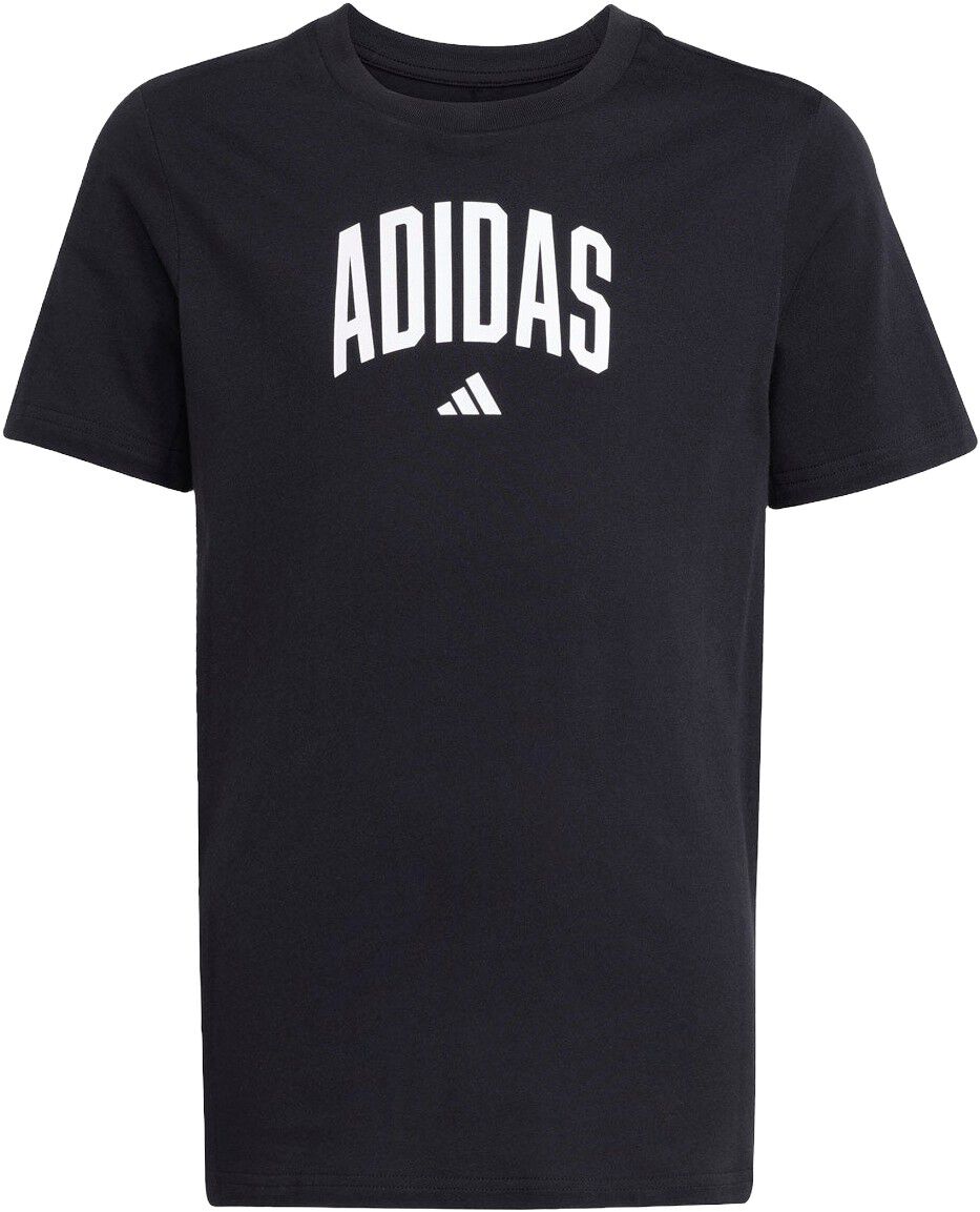 Collegiate Graphic T-shirt