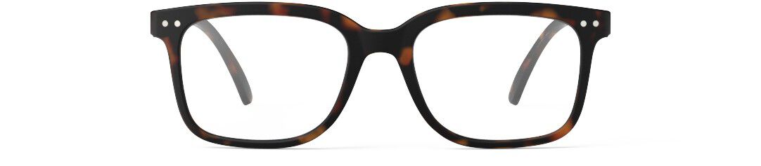 READING  #L Tortoise