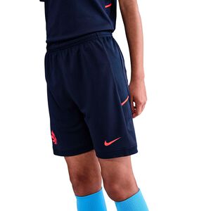 Erling Haaland Academy 25 Shorts