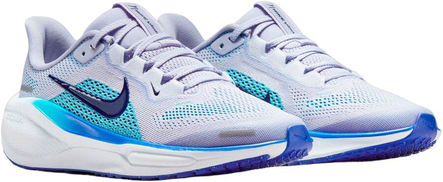 Pegasus 41 L&oslash;besko