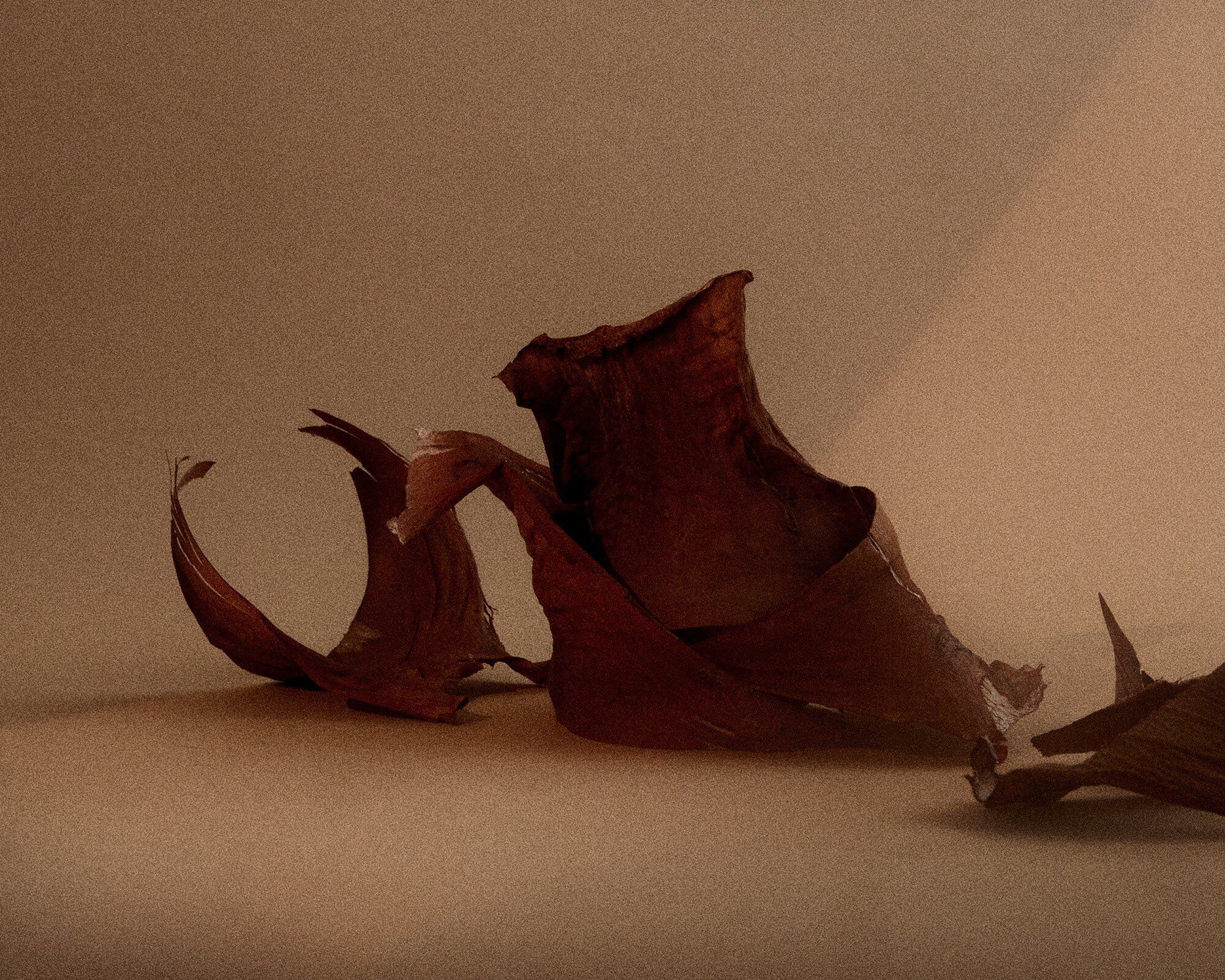 Eau de Parfum | 1917 | 50 mL